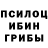 Галлюциногенные грибы MAGIC MUSHROOMS Book Shkap