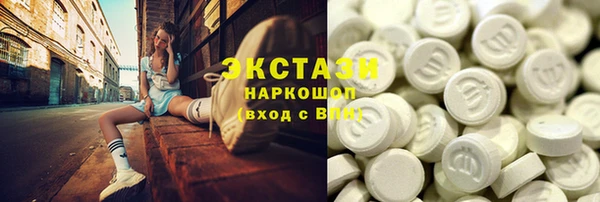 индика Мегион