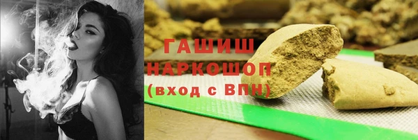 индика Мегион