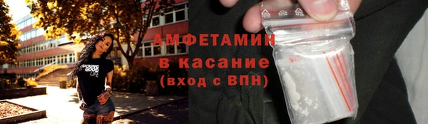 индика Мегион