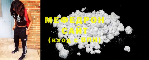 индика Мегион