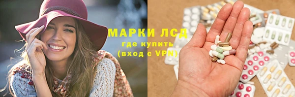 индика Мегион