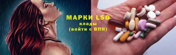 стаф Медвежьегорск