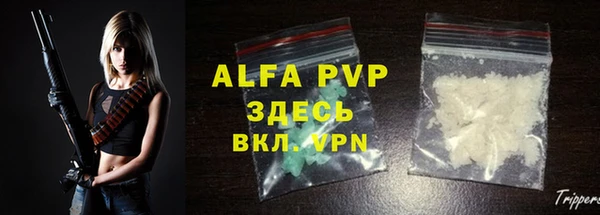 индика Мегион