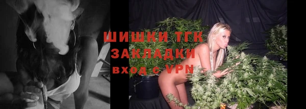 индика Мегион