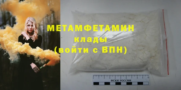 индика Мегион