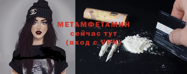 индика Мегион