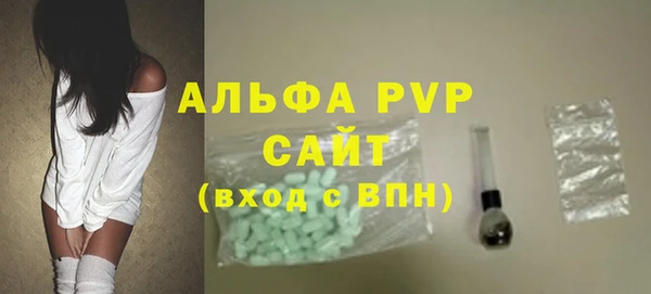 индика Мегион