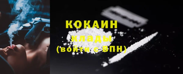 индика Мегион