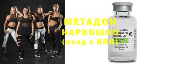 индика Мегион