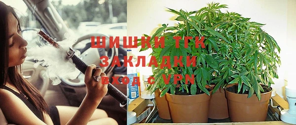 стаф Медвежьегорск