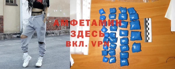 индика Мегион