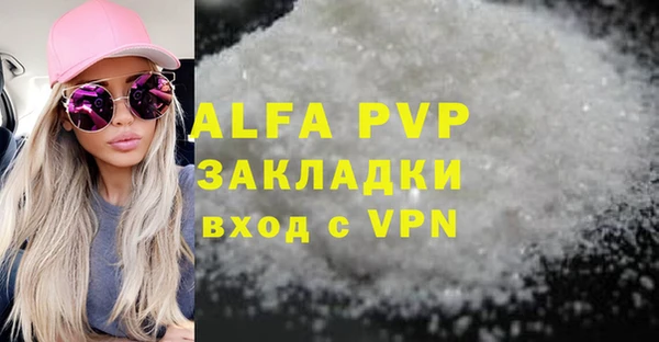 индика Мегион