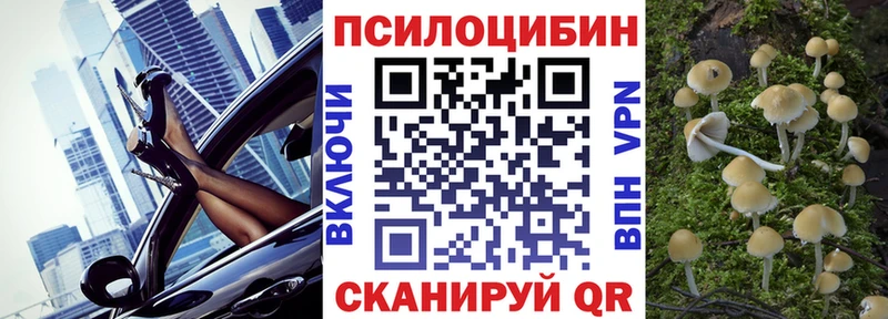 Купить закладки  Новоульяновск  Галлюциногенные грибы GOLDEN TEACHER 